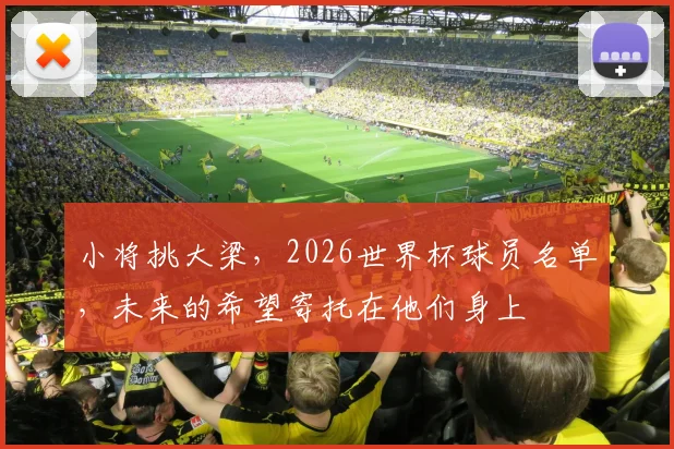 小将挑大梁，2026世界杯球员名单，未来的希望寄托在他们身上