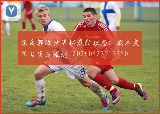 深度解读世界杯最新动态：战术变革与黑马崛起_20260523113550